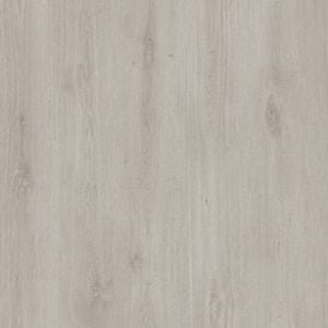 Netural Home Zaandam